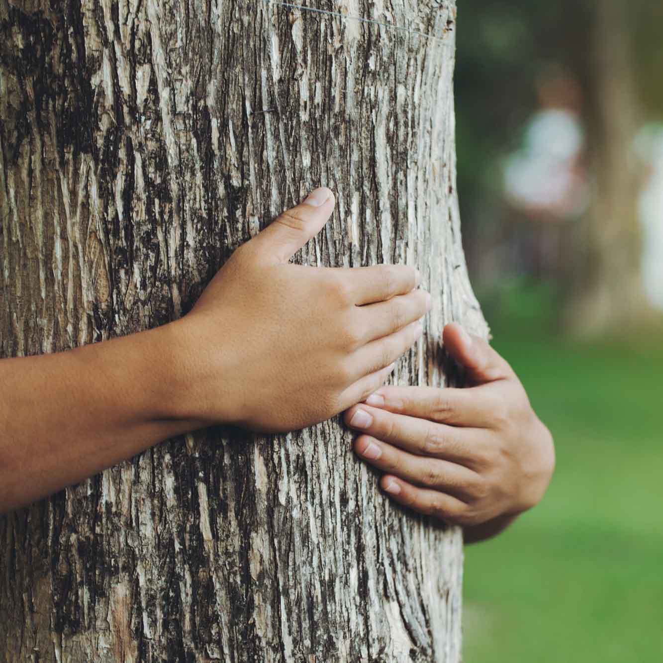 Naturheilkunde - ganzheitliche Medizin